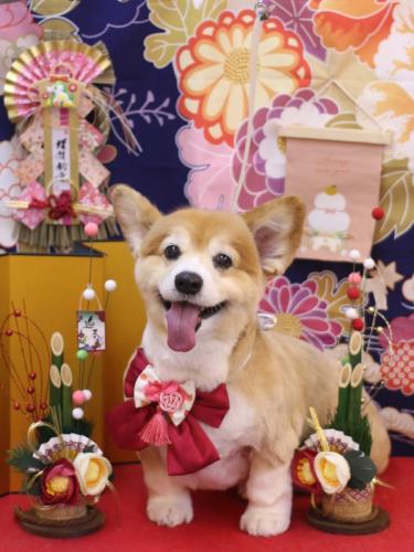 20240112ナナちゃん